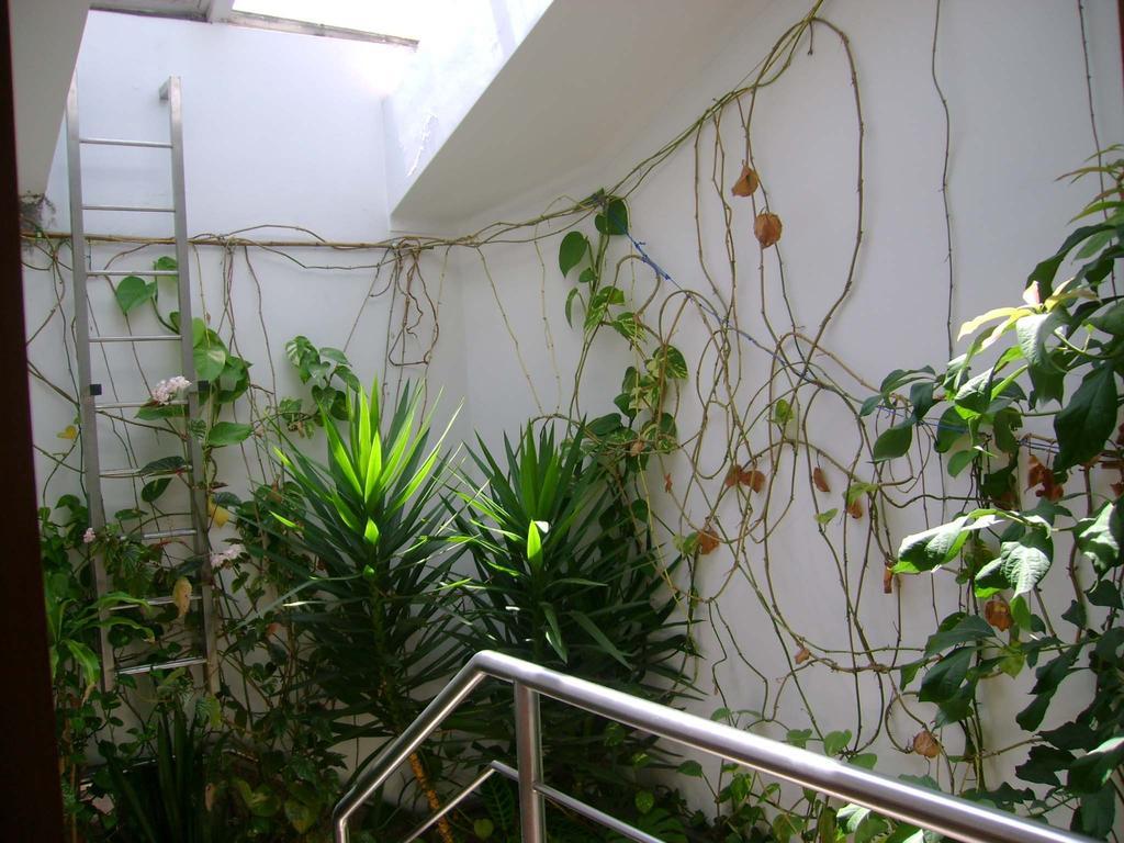Residencial Moeda Hotell Coimbra Exteriör bild