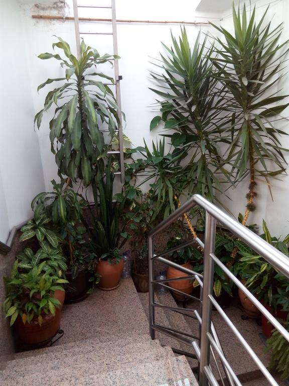 Residencial Moeda Hotell Coimbra Exteriör bild