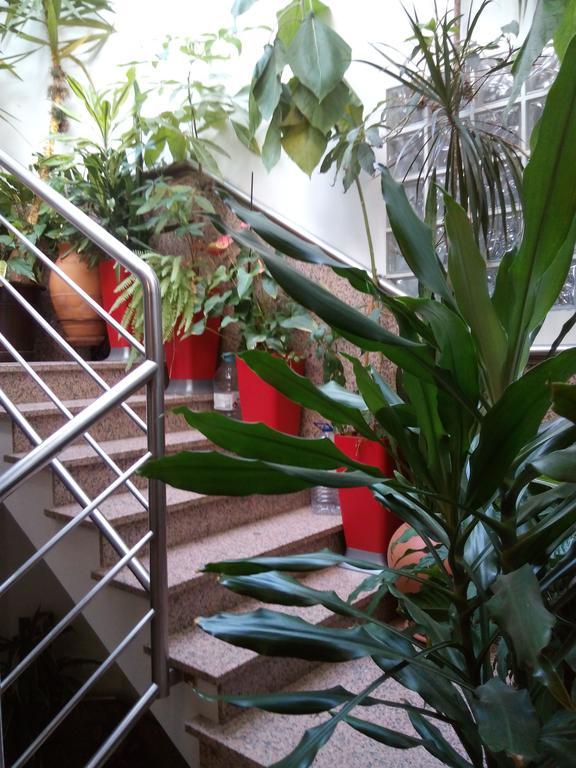 Residencial Moeda Hotell Coimbra Exteriör bild